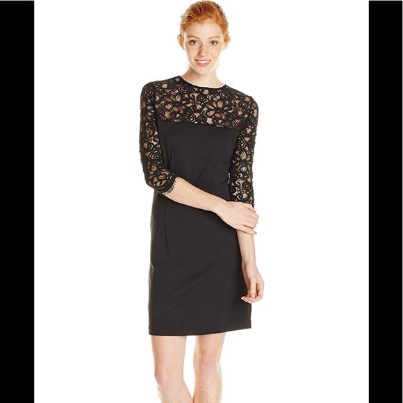 BB Dakota Chevis Ponte and Lace Dress Black Small - Picture 5 of 8
